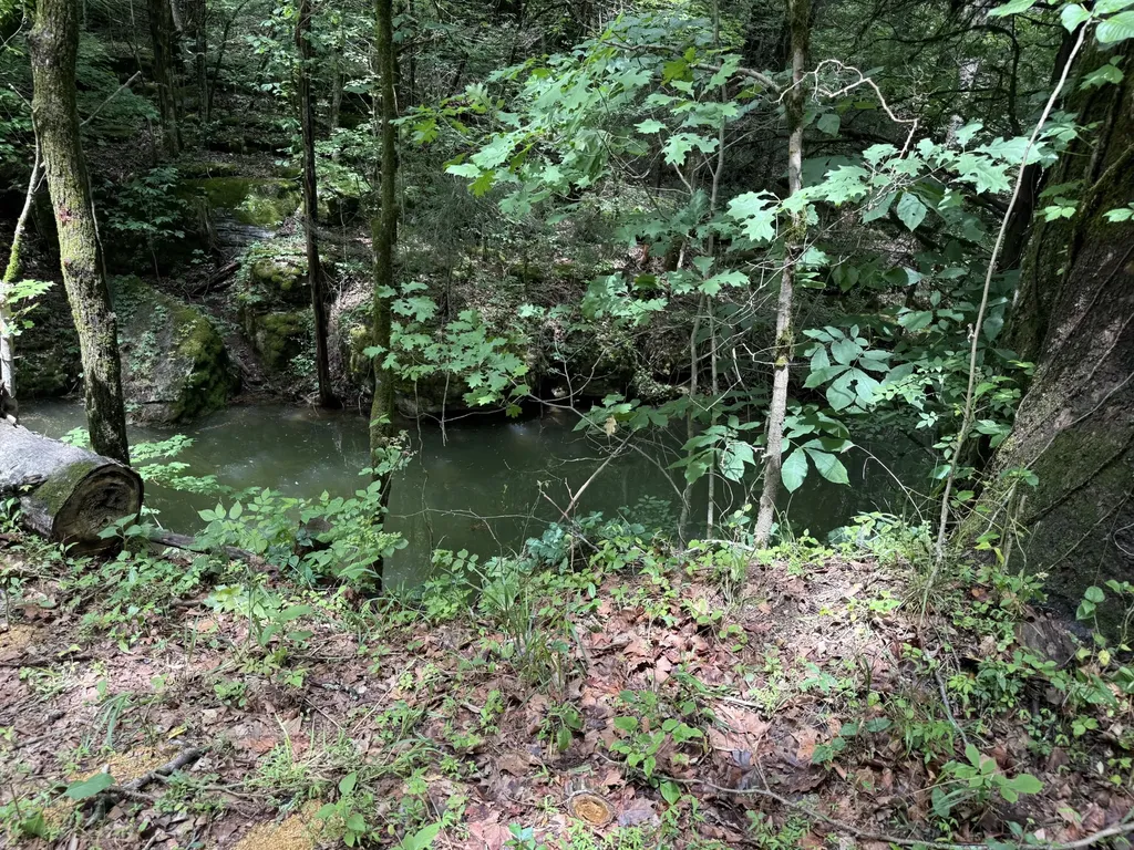 133 Cook Lane Gainesboro TN 38562