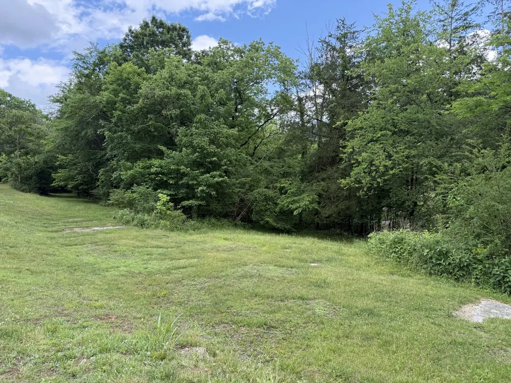 133 Cook Lane Gainesboro TN 38562