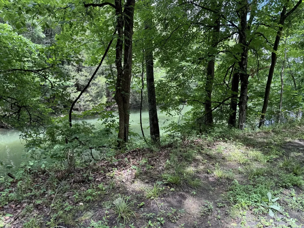 133 Cook Lane Gainesboro TN 38562