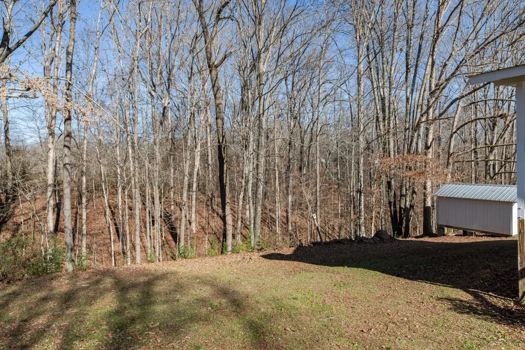 3117 Country Side Drive Centerville TN 37033