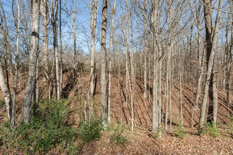 3117 Country Side Drive Centerville TN 37033
