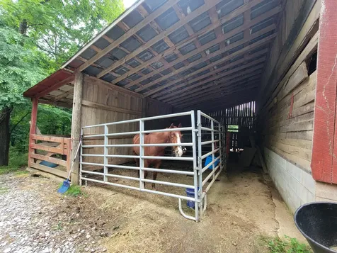 1089 Jim Clark Road Erin TN 37061
