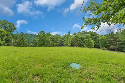593 Rogues Fork Road Bethpage TN 37022