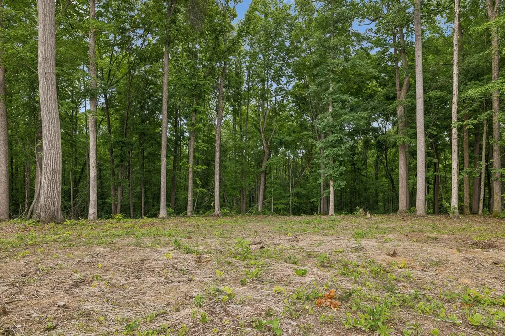 5610 Parker Branch Trail Franklin TN 37064