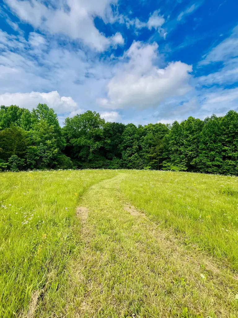 7140 Old Cox Pike Fairview TN 37062