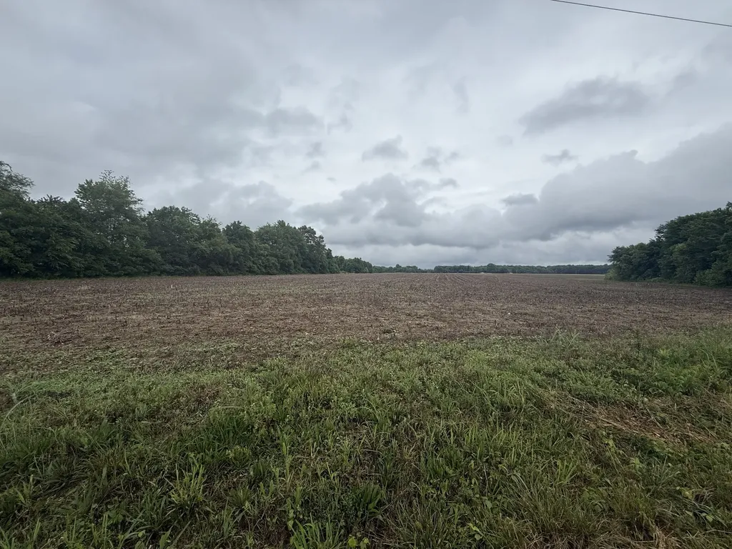 0 Pendergrass Road Flintville TN 37335