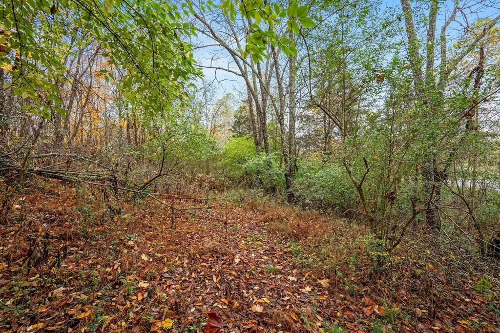 4087 Murfreesboro Road, W Franklin TN 37067