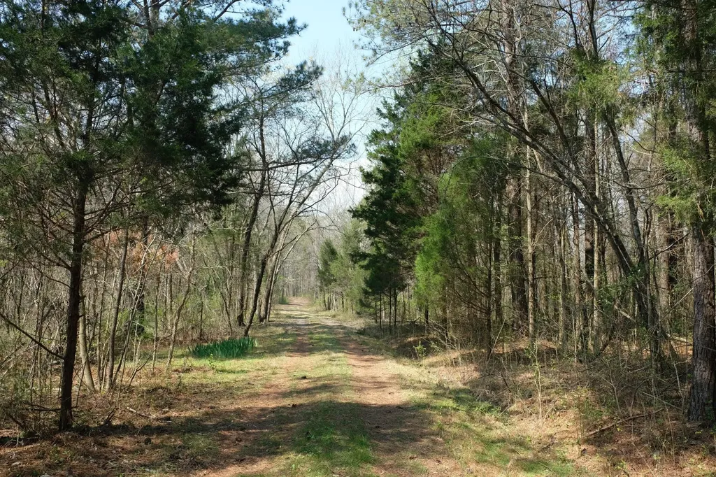 3578 Wolf Creek Road Spring City TN 37381