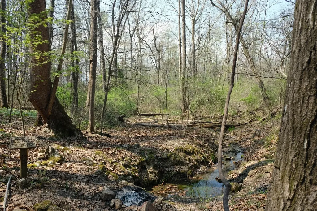 3578 Wolf Creek Road Spring City TN 37381