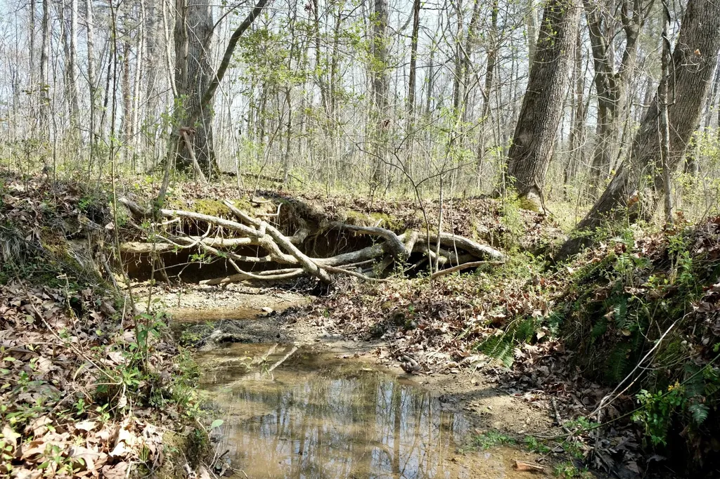 3578 Wolf Creek Road Spring City TN 37381