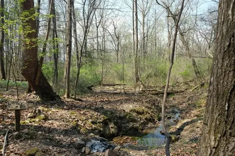 3578 Wolf Creek Road Spring City TN 37381