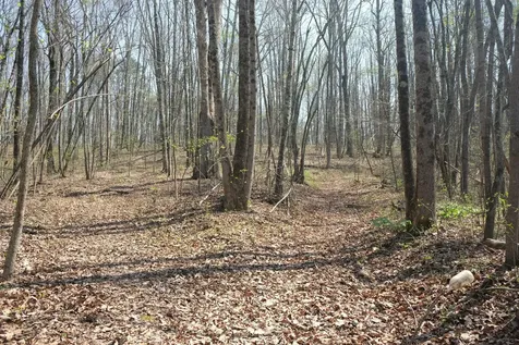 3578 Wolf Creek Road Spring City TN 37381