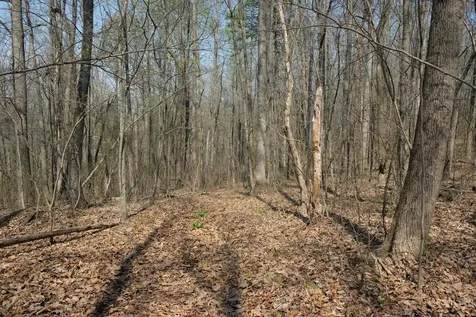 3578 Wolf Creek Road Spring City TN 37381
