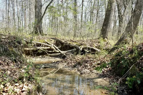 3578 Wolf Creek Road Spring City TN 37381