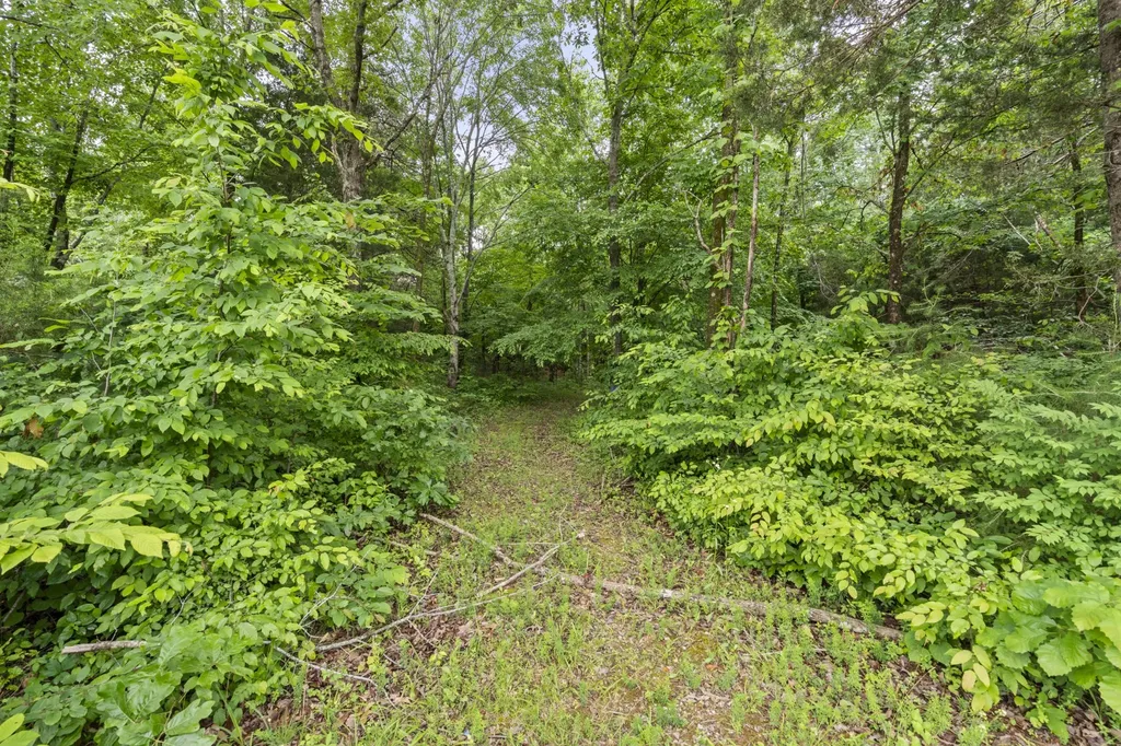 14 Hemlock Circle Burns TN 37029