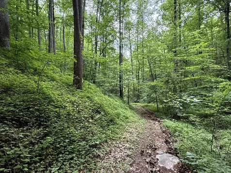 2110 Duck Pond Lane Sevierville TN 37876