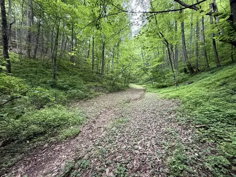 2110 Duck Pond Lane Sevierville TN 37876
