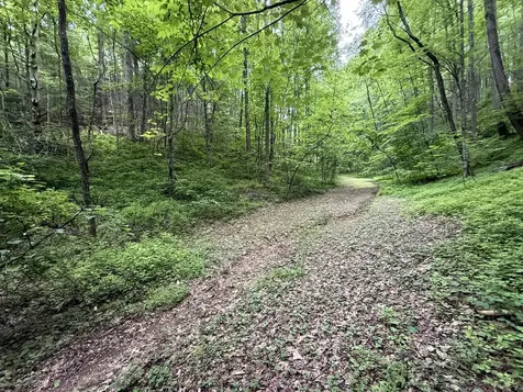2110 Duck Pond Lane Sevierville TN 37876