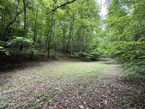 2110 Duck Pond Lane Sevierville TN 37876