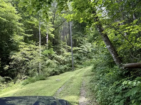 2110 Duck Pond Lane Sevierville TN 37876
