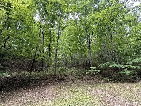 2110 Duck Pond Lane Sevierville TN 37876