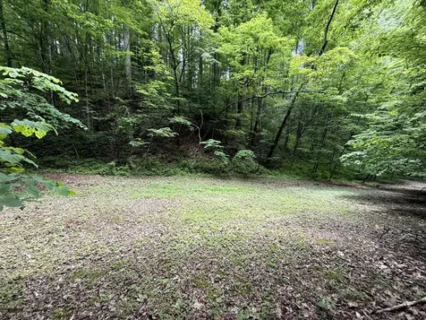 2110 Duck Pond Lane Sevierville TN 37876