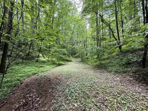 2110 Duck Pond Lane Sevierville TN 37876