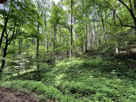 2110 Duck Pond Lane Sevierville TN 37876