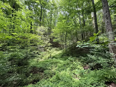 2110 Duck Pond Lane Sevierville TN 37876