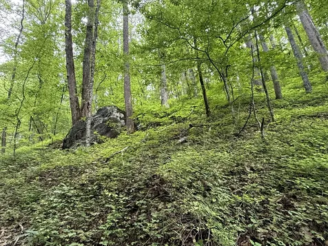 2110 Duck Pond Lane Sevierville TN 37876