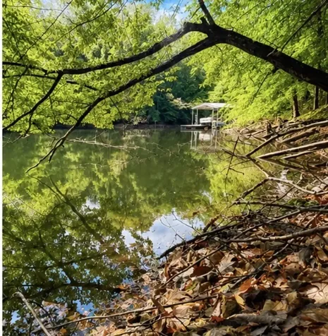0 Elklore Avenue Estill Springs TN 37330