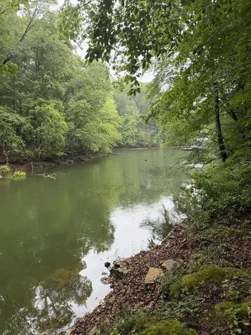 0 Elklore Avenue Estill Springs TN 37330
