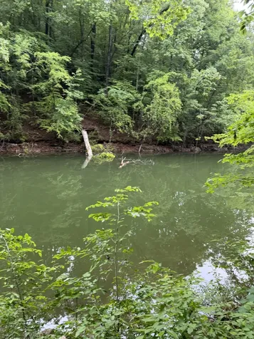 0 Elklore Avenue Estill Springs TN 37330