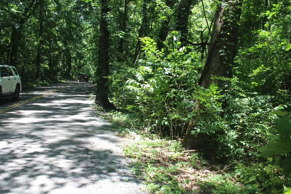 3978 Dry Fork Road Whites Creek TN 37189