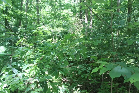 3978 Dry Fork Road Whites Creek TN 37189