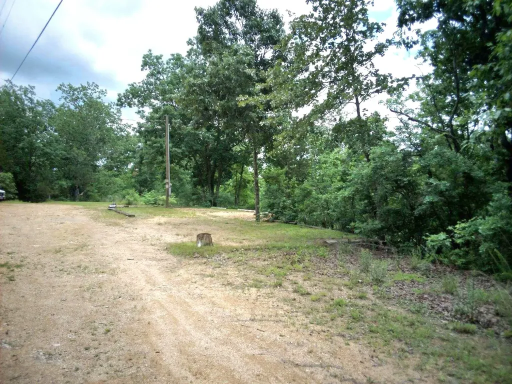 0 Martin Holladay TN 38341