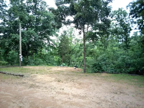 0 Martin Holladay TN 38341