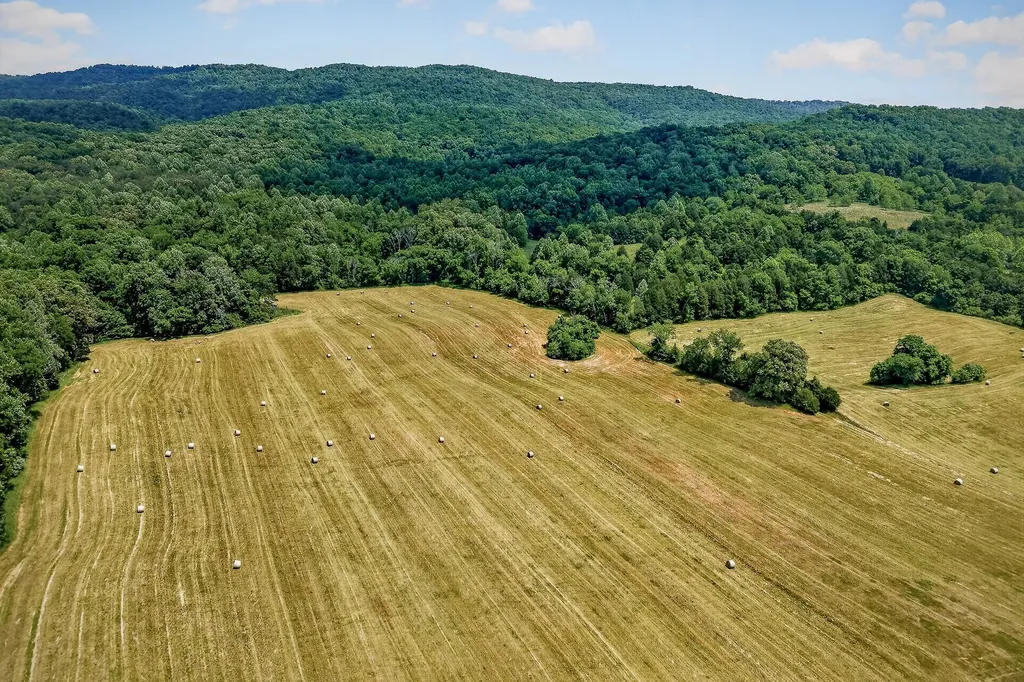 1372 Plum Creek Road Sparta TN 38583