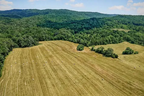 1372 Plum Creek Road Sparta TN 38583