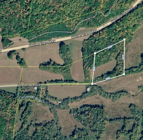 1 Fattybread Branch Road Williamsport TN 38487