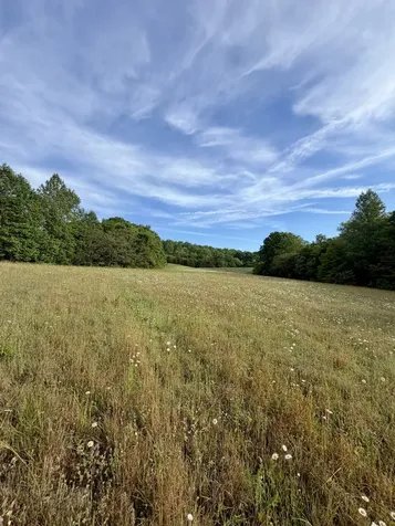 1 Fattybread Branch Road Williamsport TN 38487