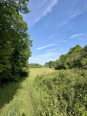 1 Fattybread Branch Road Williamsport TN 38487