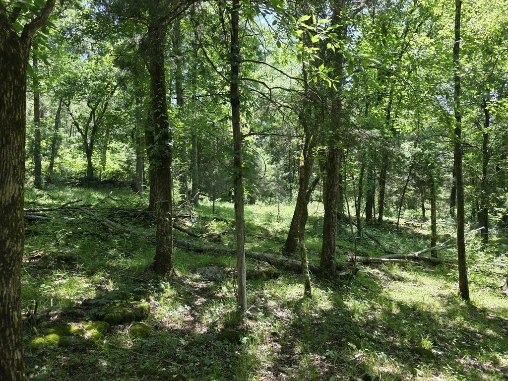 144 Heine Lane Hartsville TN 37074