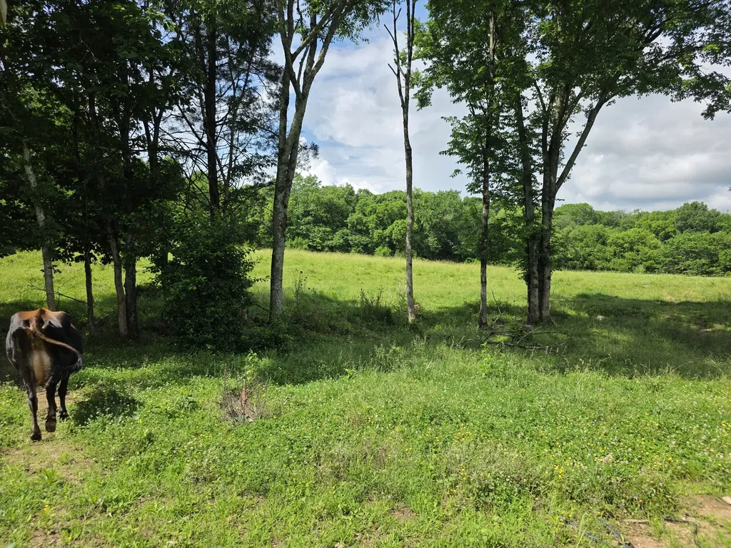 144 Heine Lane Hartsville TN 37074