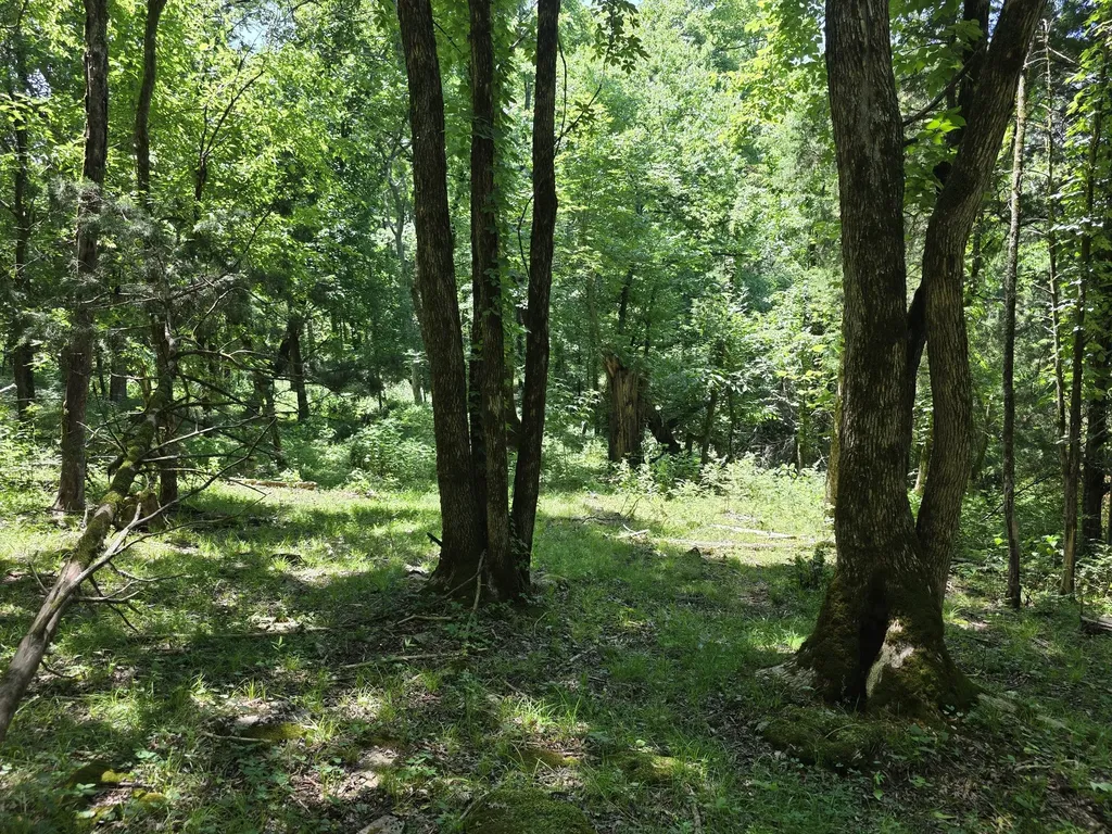 144 Heine Lane Hartsville TN 37074
