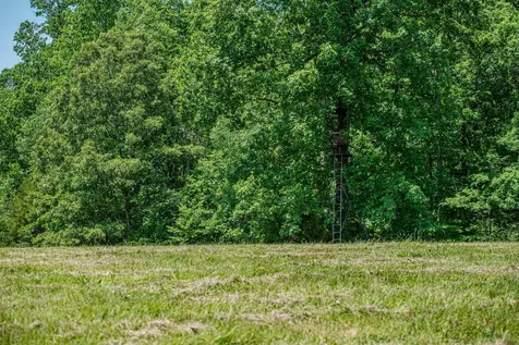 220 Ovilla Lane Lawrenceburg TN 38464