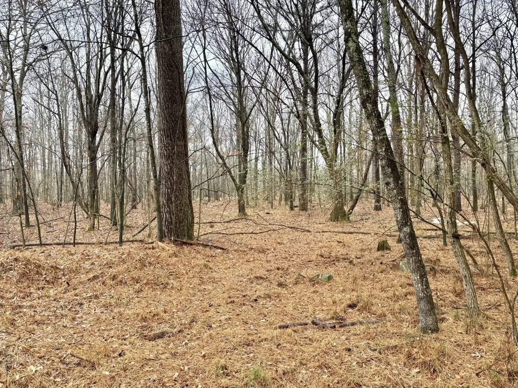 0 Grundy Street, E Tullahoma TN 37388