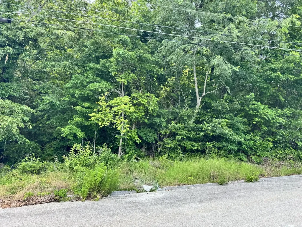 7405 Woodland Bay Drive Harrison TN 37341