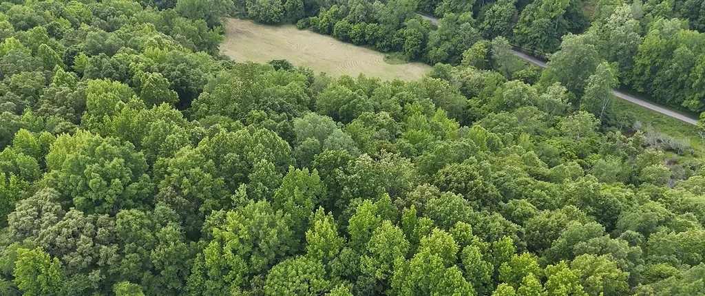 1331 Turkey Creek Loop Tullahoma TN 37388