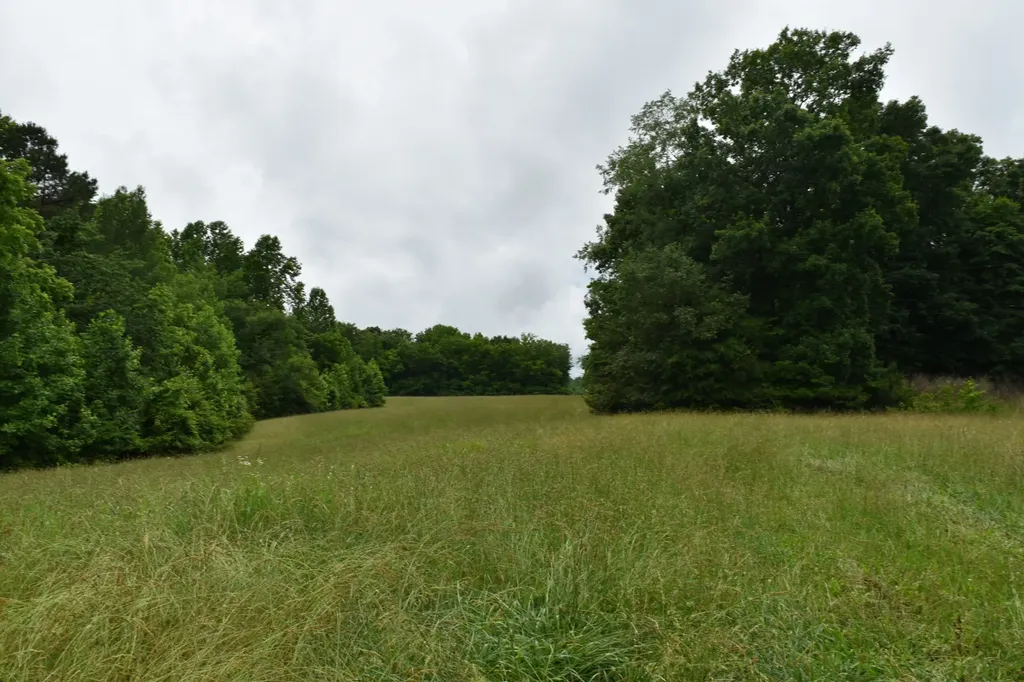 1331 Turkey Creek Loop Tullahoma TN 37388